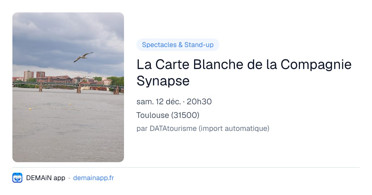 La Carte Blanche de la Compagnie Synapse — Toulouse
