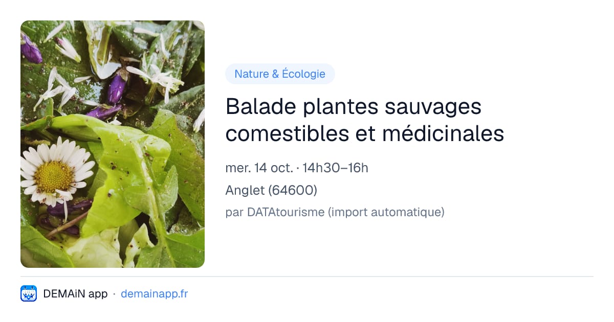 Balade plantes sauvages comestibles et médicinales — Anglet