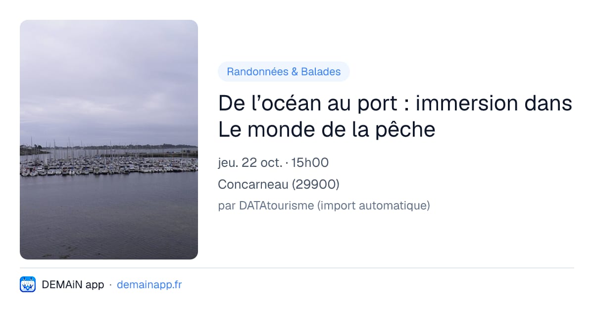 De l’océan au port : immersion dans Le monde de la pêche — Concarneau