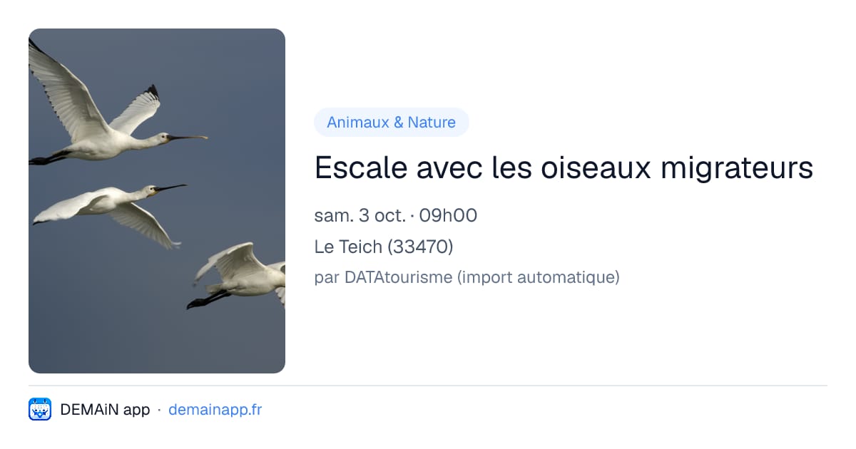 Escale avec les oiseaux migrateurs — Le Teich
