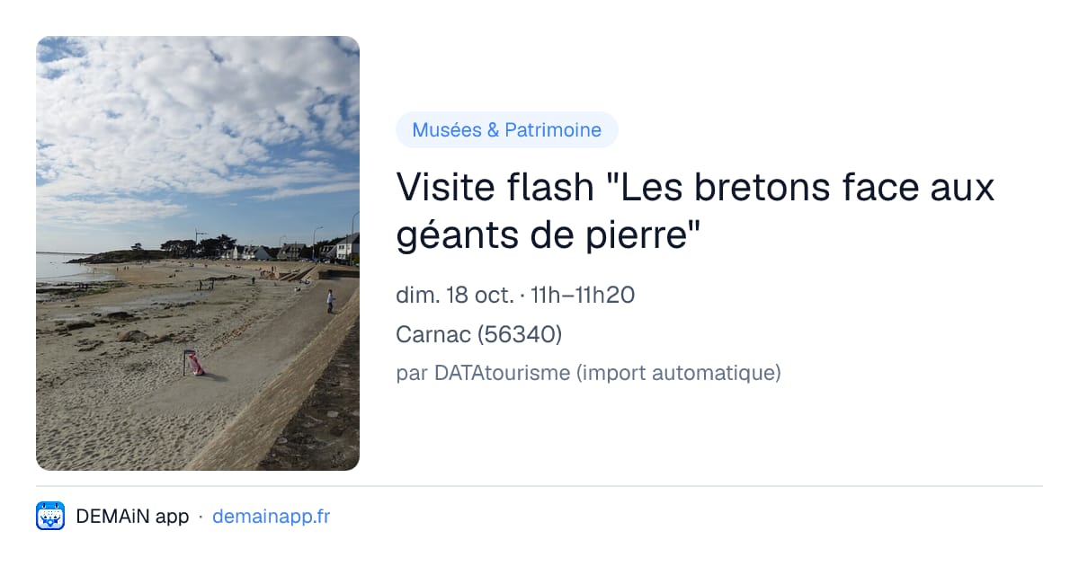 Visite flash "Les bretons face aux géants de pierre" — Carnac