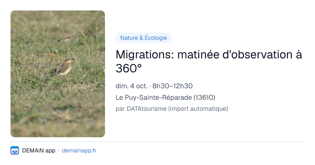 Migrations: matinée d'observation à 360° — Le Puy-Sainte-Réparade