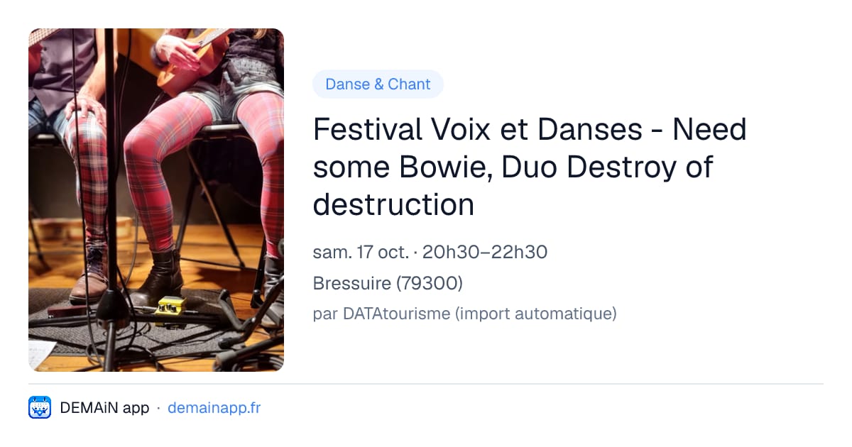 Festival Voix et Danses - Need some Bowie, Duo Destroy of destruction — Bressuire