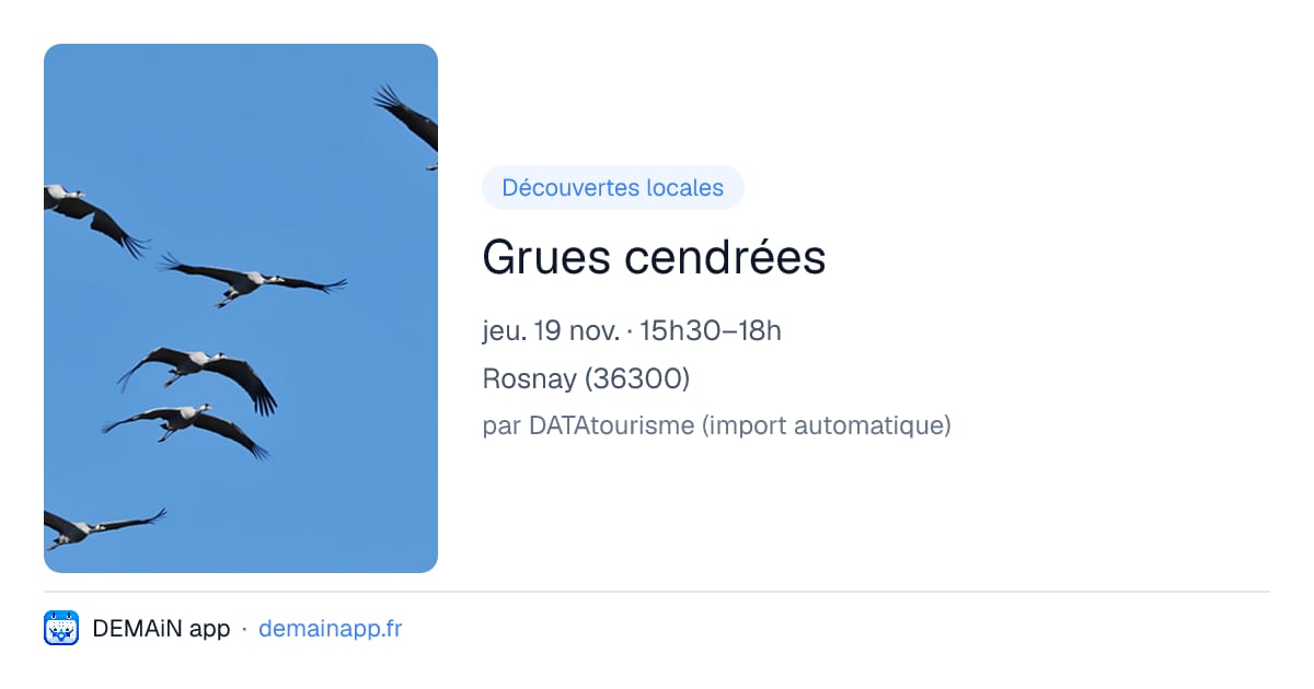 Grues cendrées — Rosnay