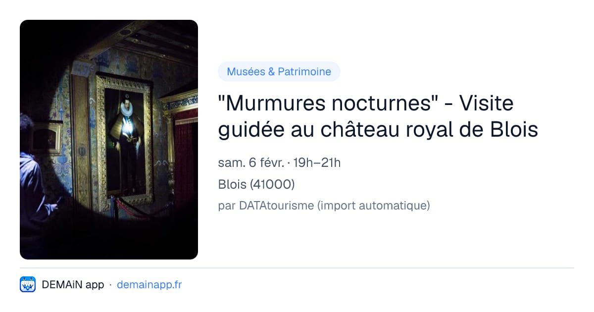 "Murmures nocturnes" - Visite guidée au château royal de Blois — Blois