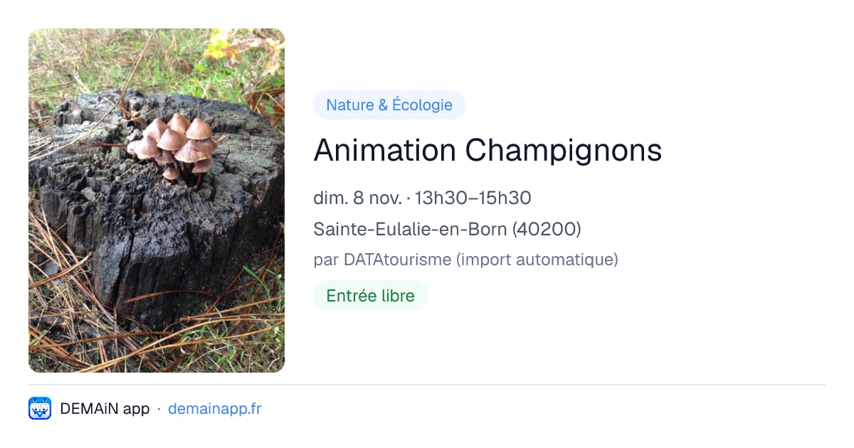 Animation Champignons — Sainte-Eulalie-en-Born