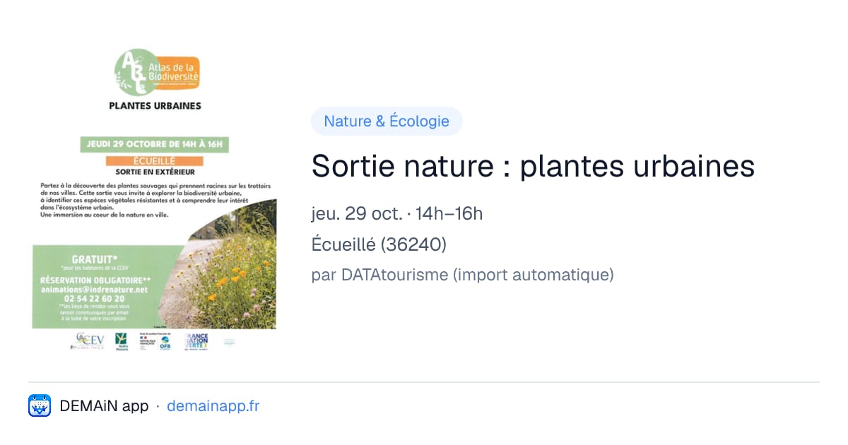 Sortie nature : plantes urbaines — Écueillé