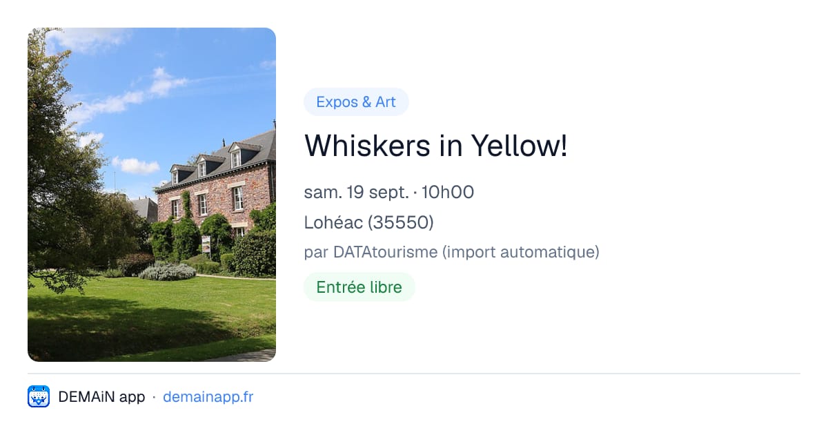 Whiskers in Yellow! — Lohéac