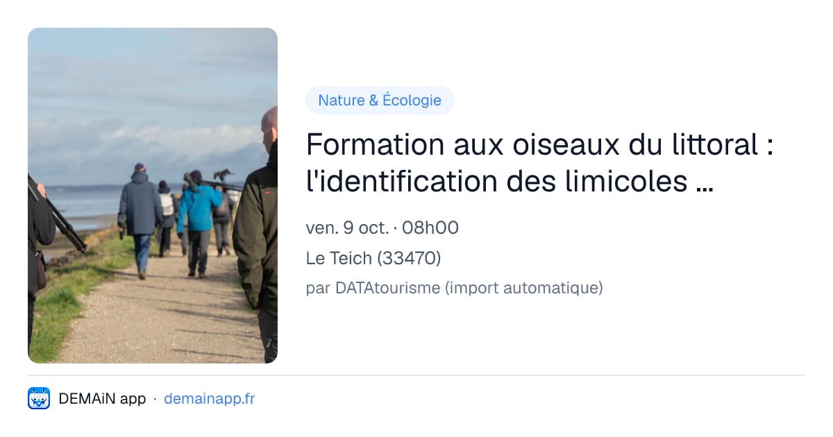 Formation aux oiseaux du littoral : l'identification des limicoles (niveau perfectionnement) — Le Teich