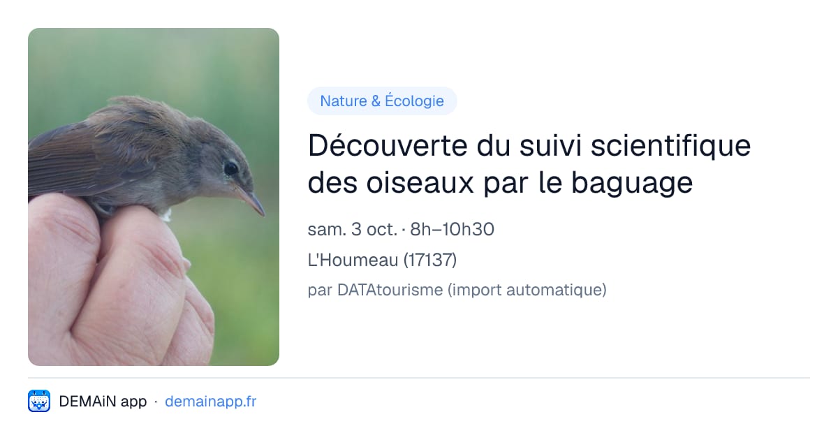 Découverte du suivi scientifique des oiseaux par le baguage — L'Houmeau
