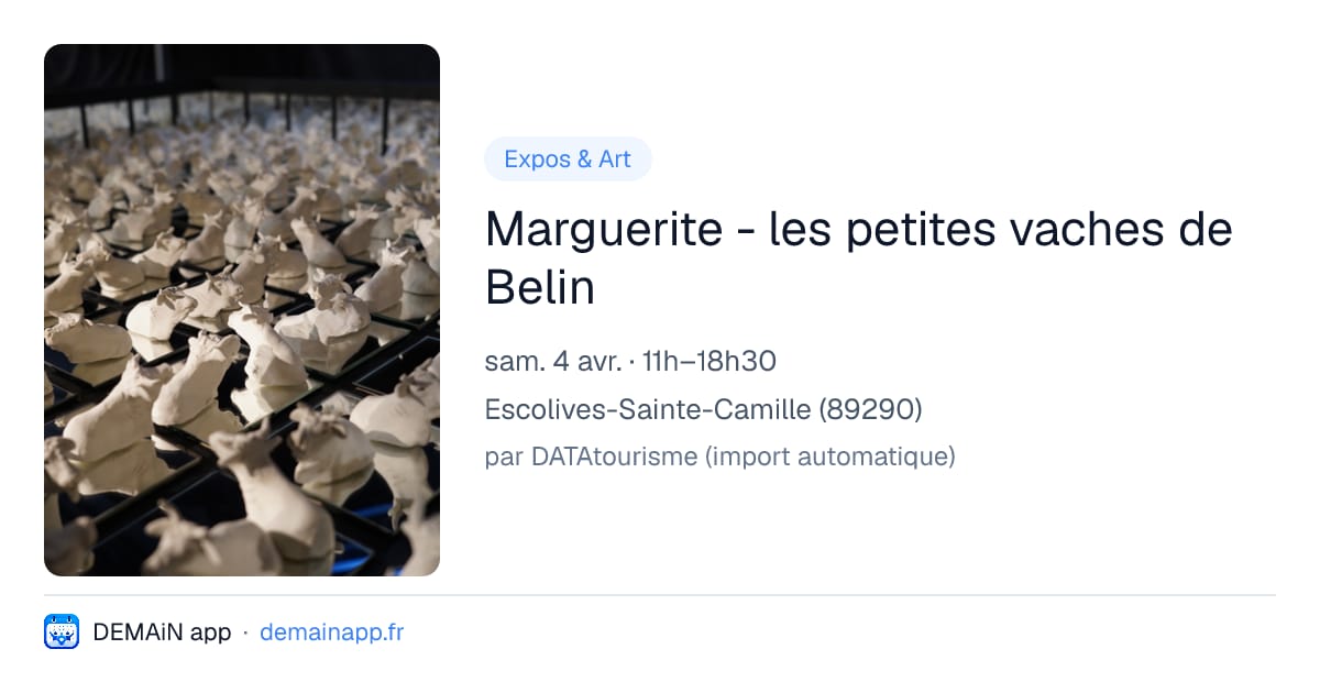 Marguerite - les petites vaches de Belin — Escolives-Sainte-Camille