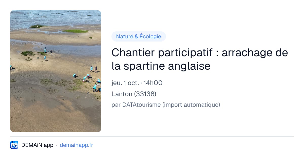 Chantier participatif : arrachage de la spartine anglaise — Lanton