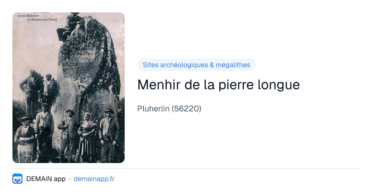 Menhir de la pierre longue — Pluherlin
