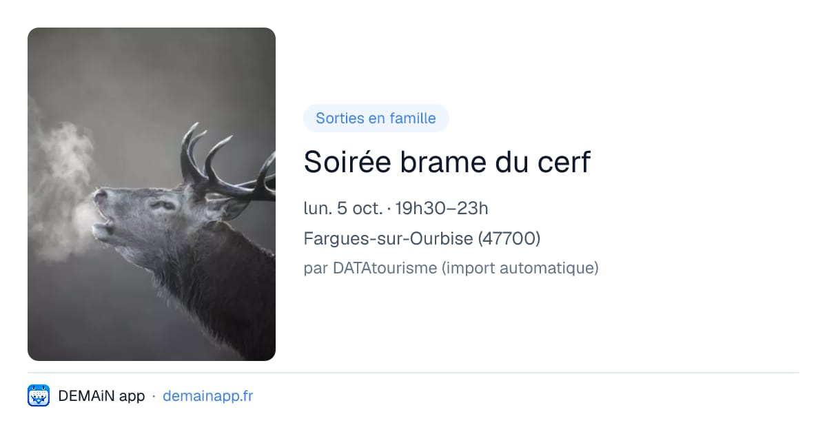 Soirée brame du cerf — Fargues-sur-Ourbise