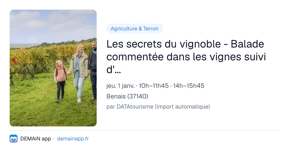 Les secrets du vignoble - Balade commentée dans les vignes suivi d'une dégustation — Benais