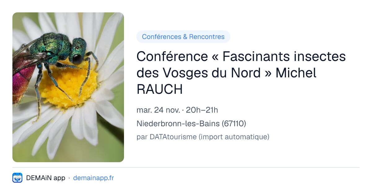 Conférence « Fascinants insectes des Vosges du Nord » Michel RAUCH — Niederbronn-les-Bains
