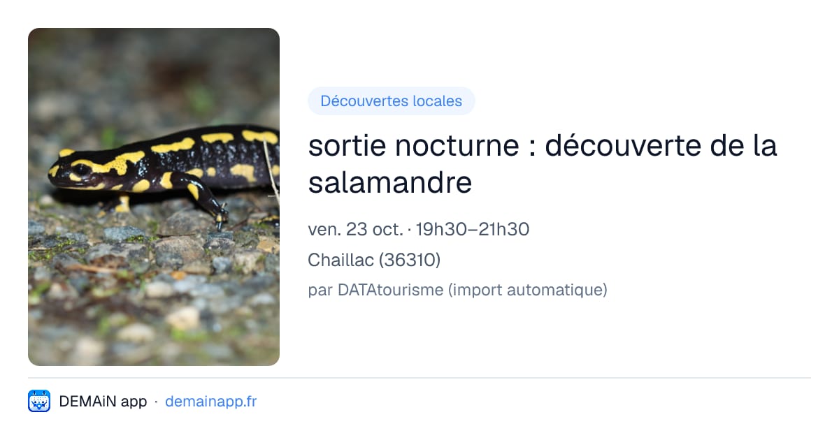 sortie nocturne : découverte de la salamandre — Chaillac