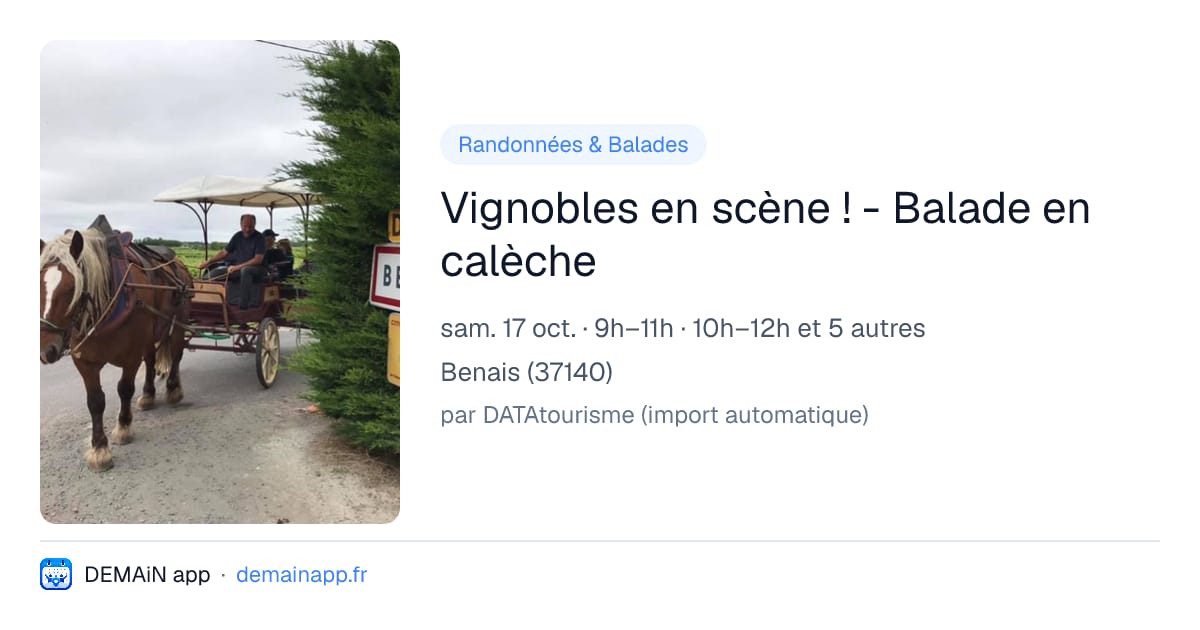 Vignobles en scène ! - Balade en calèche — Benais