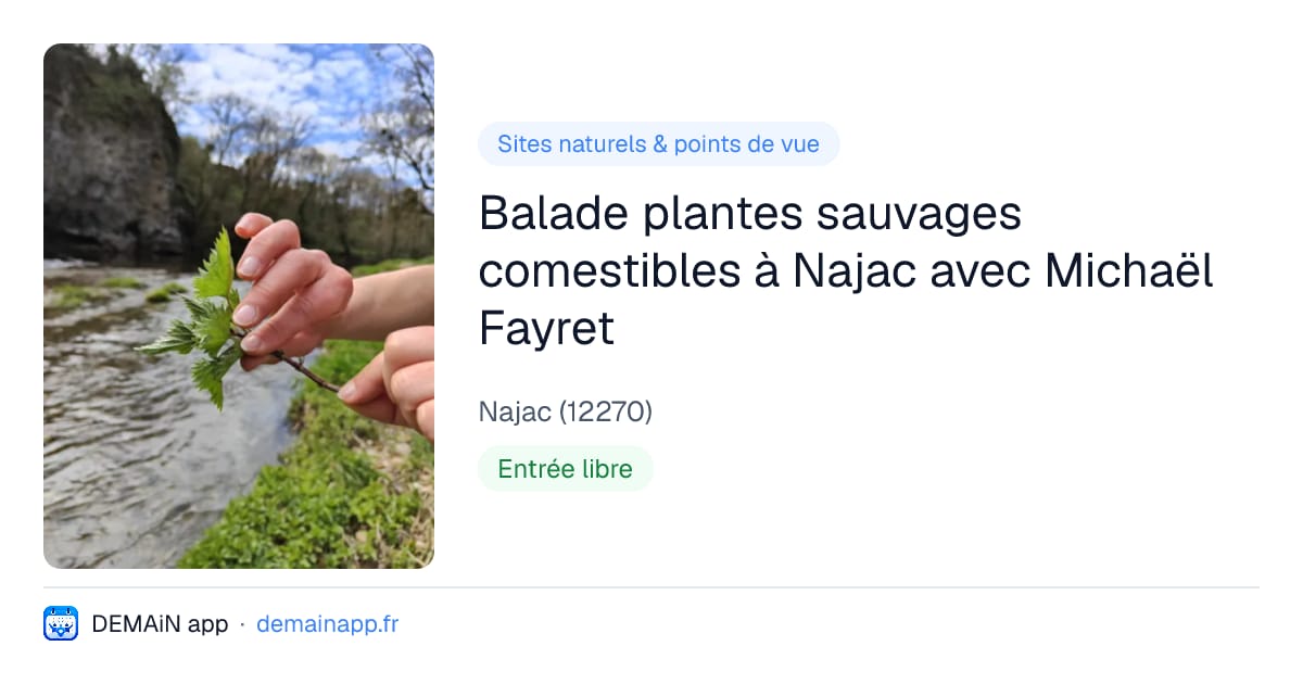 Balade plantes sauvages comestibles à Najac avec Michaël Fayret — Najac