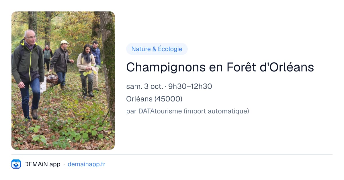 Champignons en Forêt d'Orléans — Orléans