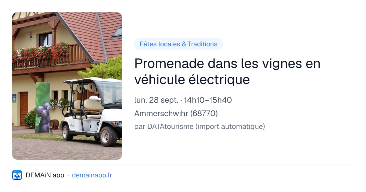 Promenade dans les vignes en véhicule électrique — Ammerschwihr