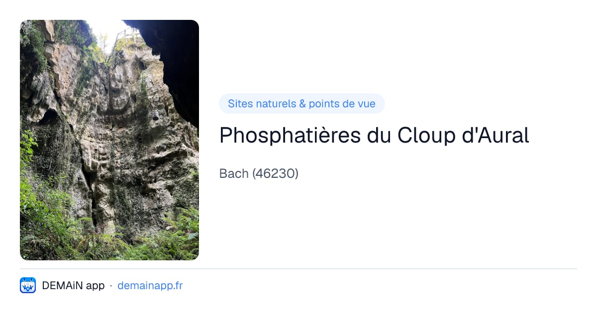 Phosphatières du Cloup d'Aural — Bach
