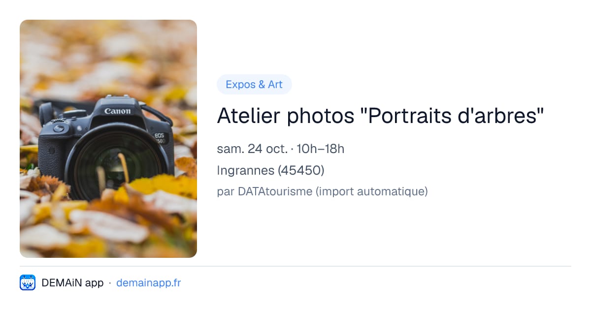 Atelier photos "Portraits d'arbres" — Ingrannes