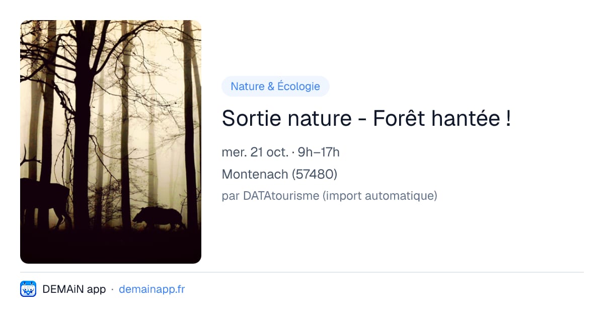 Sortie nature - Forêt hantée ! — Montenach