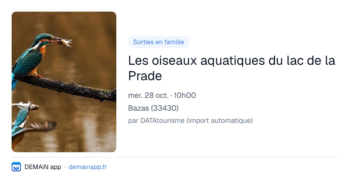Les oiseaux aquatiques du lac de la Prade — Bazas