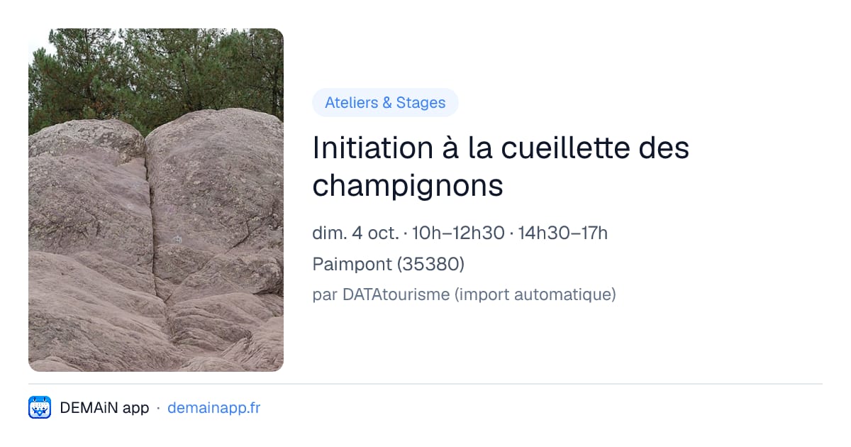 Initiation à la cueillette des champignons — Paimpont