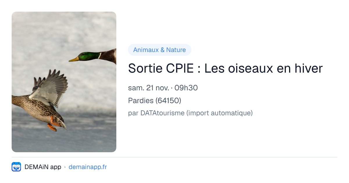 Sortie CPIE : Les oiseaux en hiver — Pardies