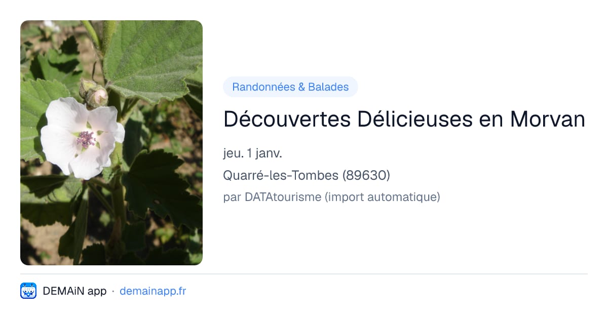Découvertes Délicieuses en Morvan — Quarré-les-Tombes