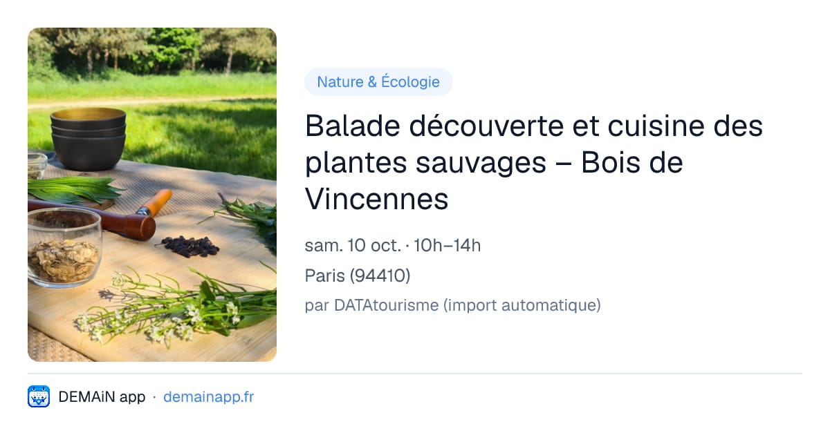 Balade découverte et cuisine des plantes sauvages – Bois de Vincennes — Paris
