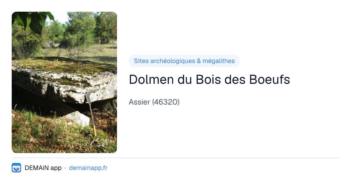 Dolmen du Bois des Boeufs — Assier