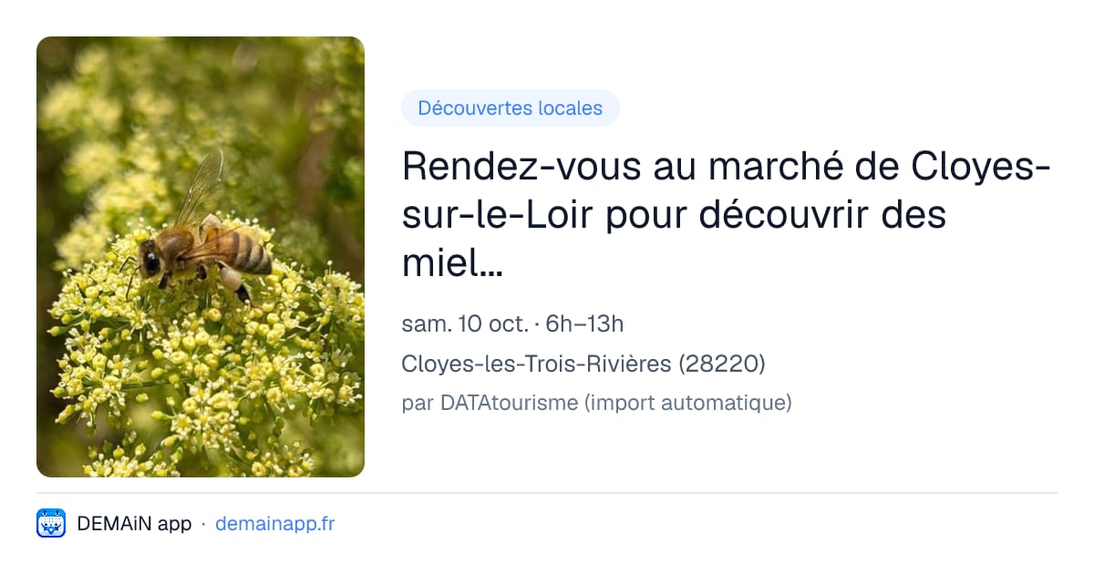 Rendez-vous au marché de Cloyes-sur-le-Loir pour découvrir des miels 100% Eure-et-Loir — Cloyes-les-Trois-Rivières