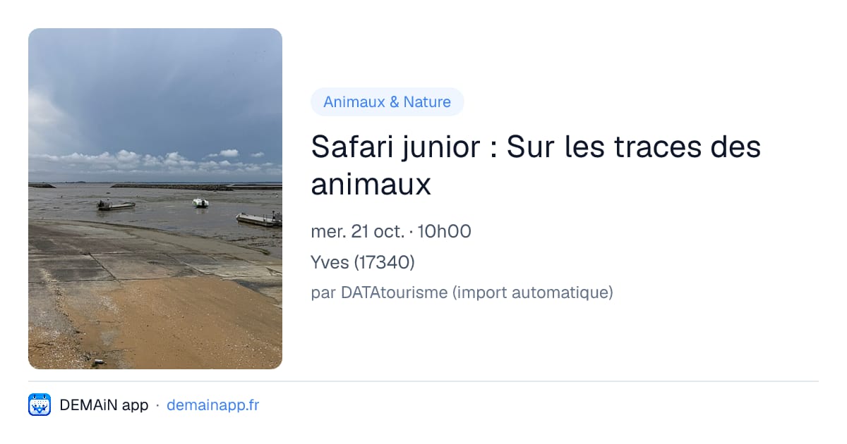 Safari junior : Sur les traces des animaux — Yves