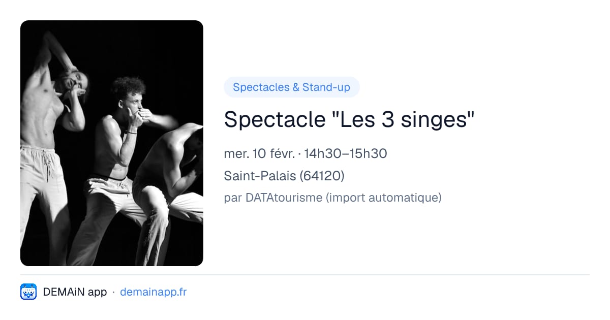 Spectacle "Les 3 singes" — Saint-Palais