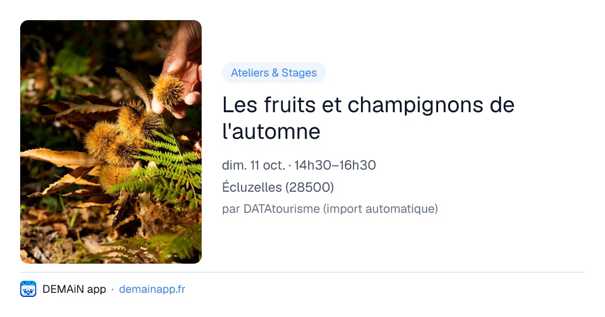 Les fruits et champignons de l'automne — Écluzelles