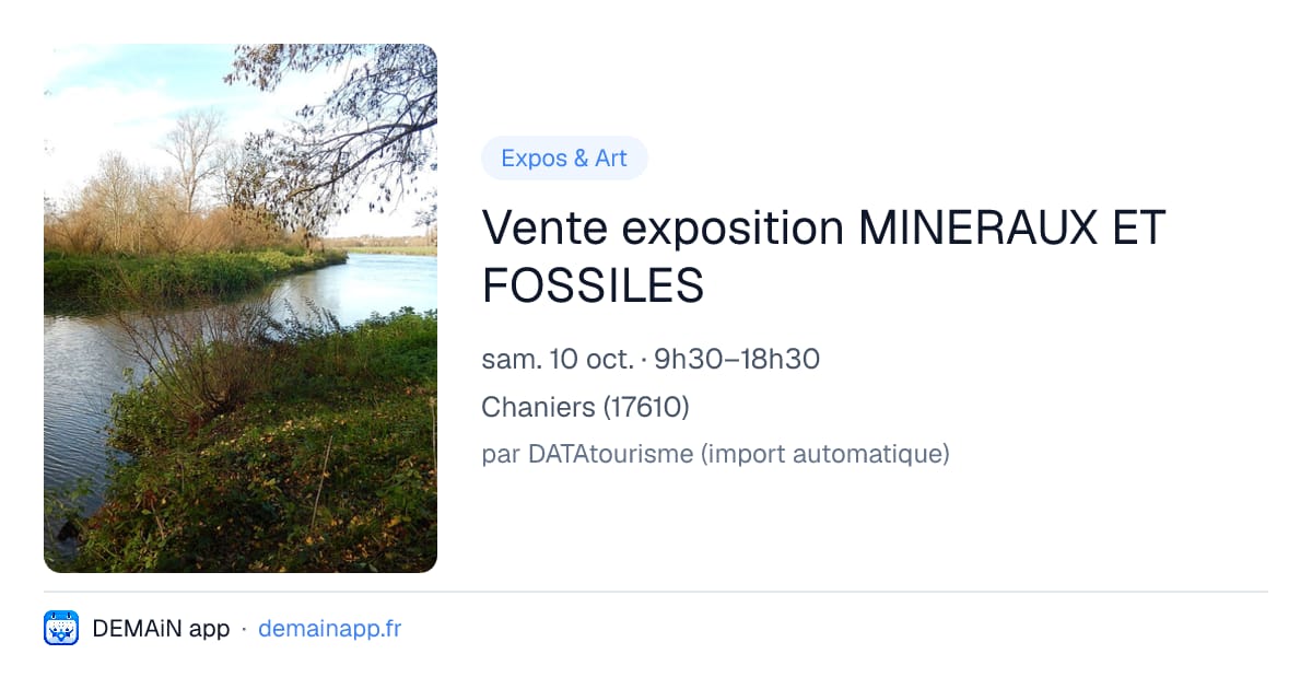 Vente exposition MINERAUX ET FOSSILES — Chaniers