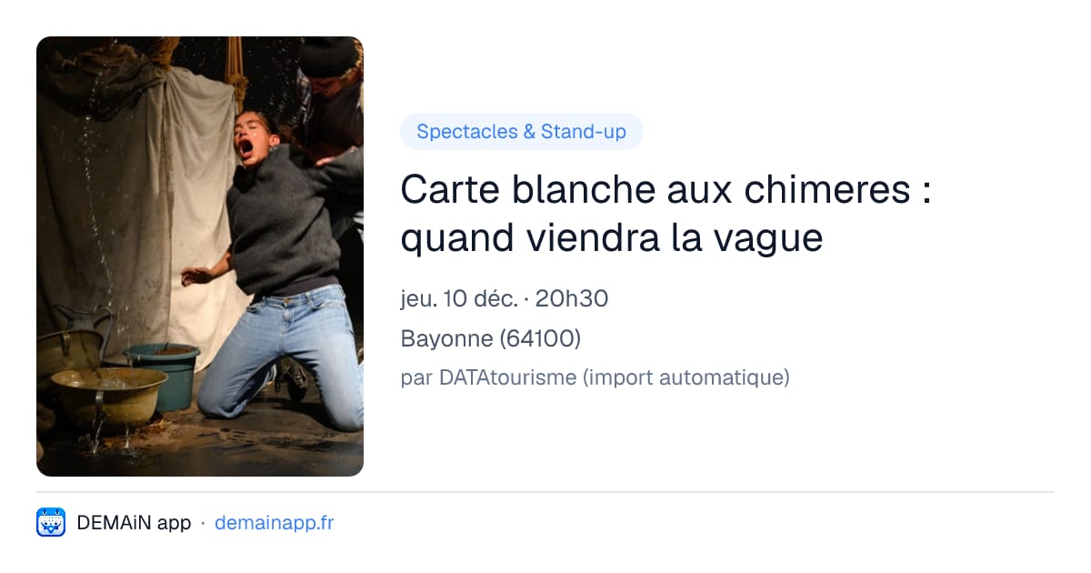Carte blanche aux chimeres : quand viendra la vague — Bayonne