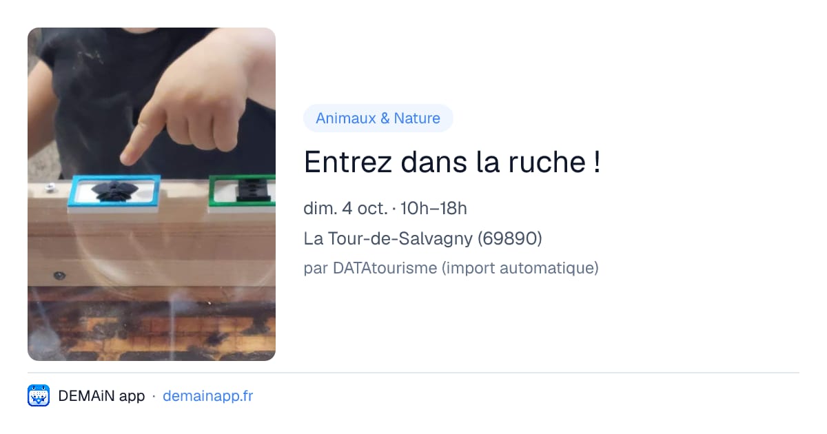 Entrez dans la ruche ! — La Tour-de-Salvagny