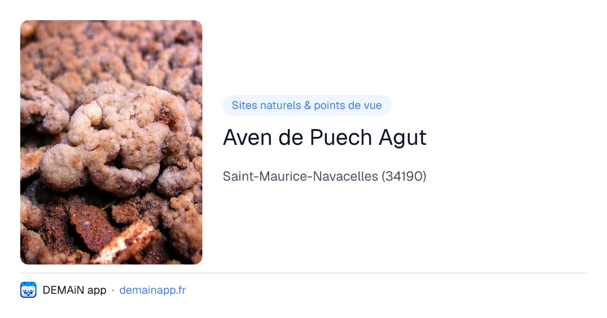 Aven de Puech Agut — Saint-Maurice-Navacelles