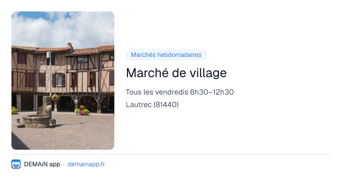 Marché de village — Lautrec