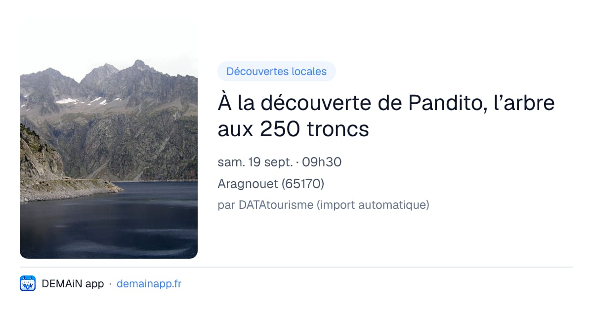 À la découverte de Pandito, l’arbre aux 250 troncs — Aragnouet