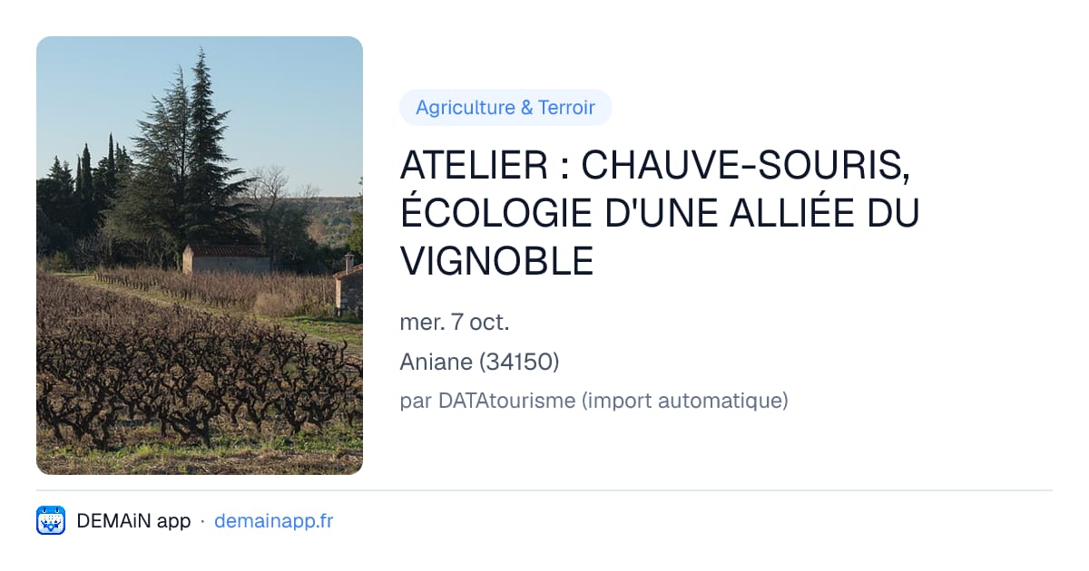ATELIER : CHAUVE-SOURIS, ÉCOLOGIE D'UNE ALLIÉE DU VIGNOBLE — Aniane