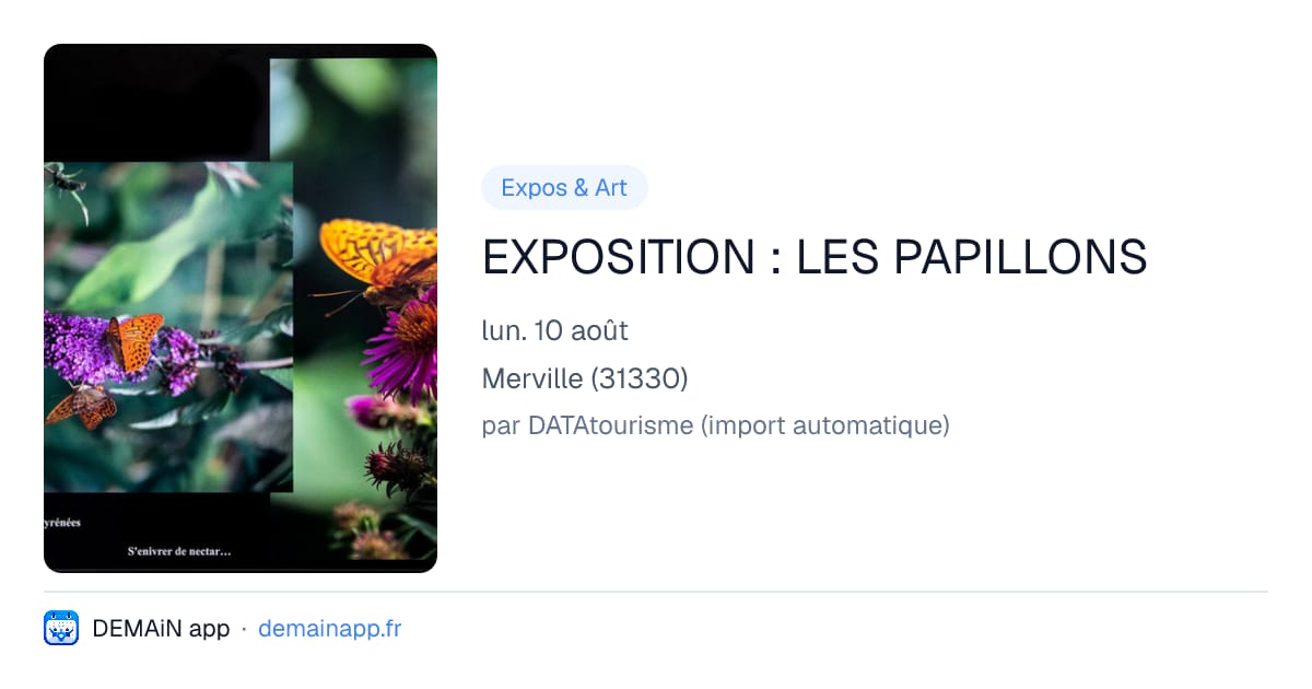 EXPOSITION : LES PAPILLONS — Merville