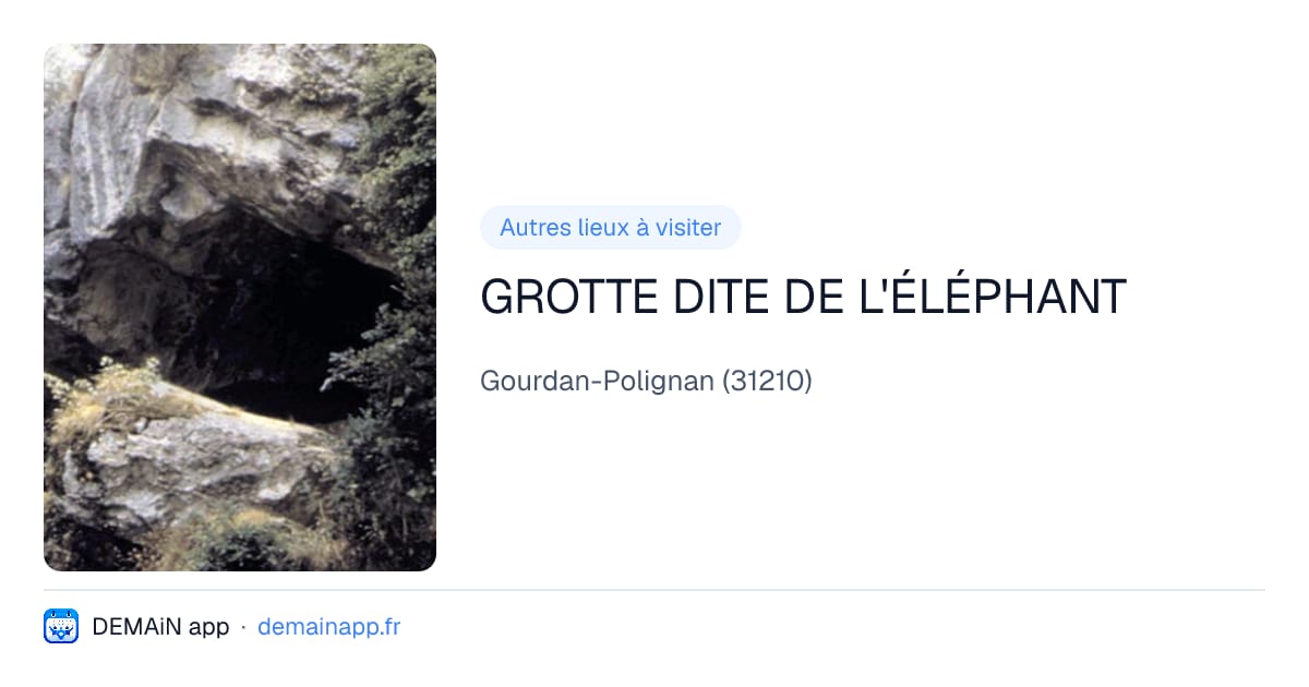 GROTTE DITE DE L'ÉLÉPHANT — Gourdan-Polignan