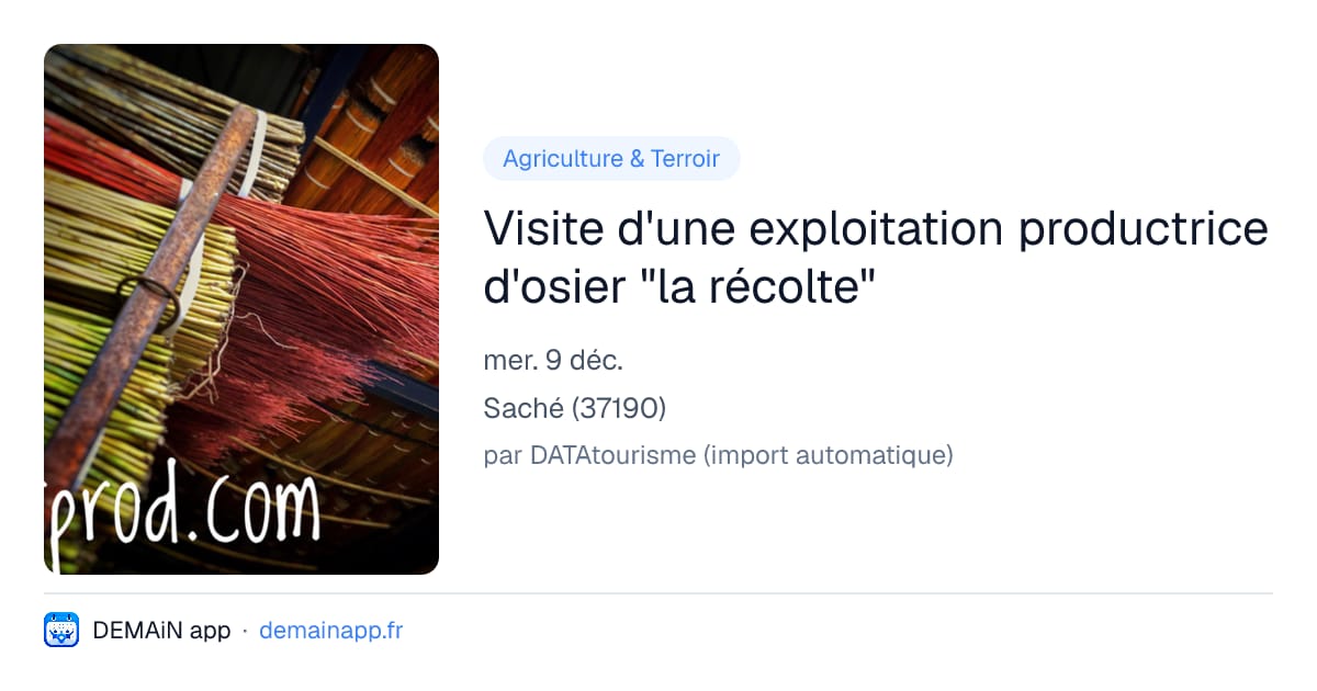 Visite d'une exploitation productrice d'osier "la récolte" — Saché