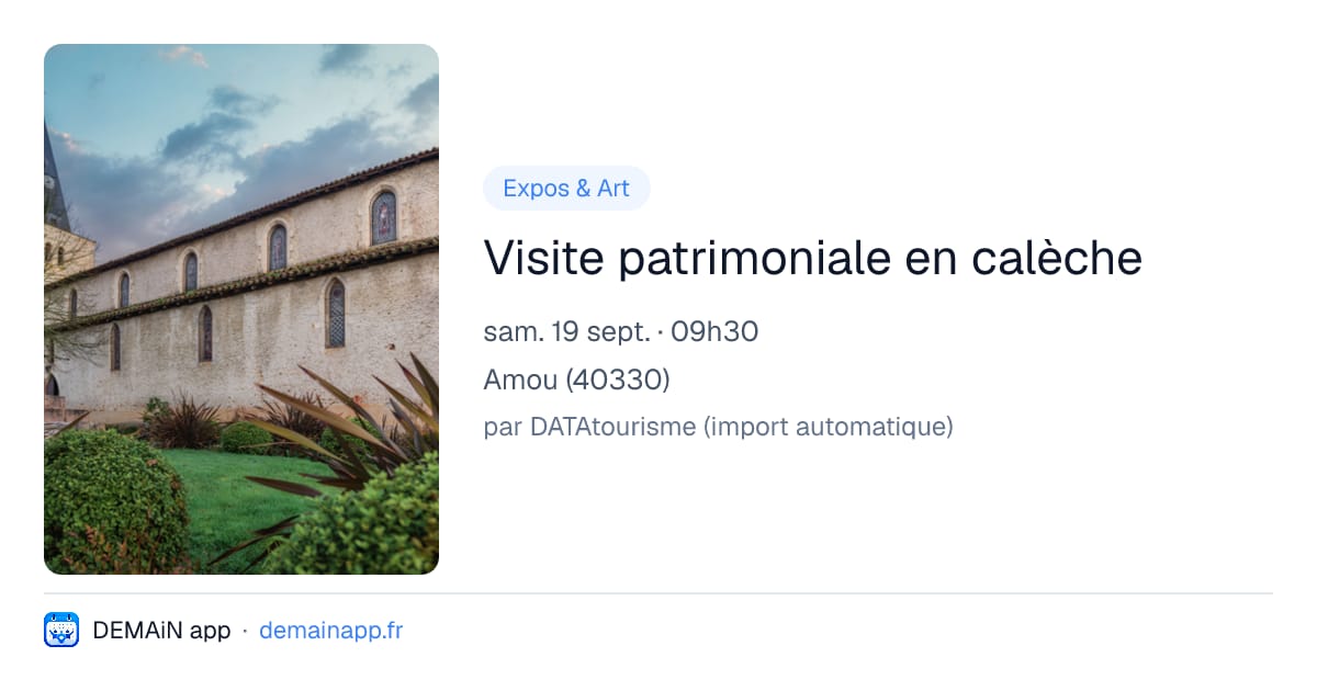 Visite patrimoniale en calèche — Amou