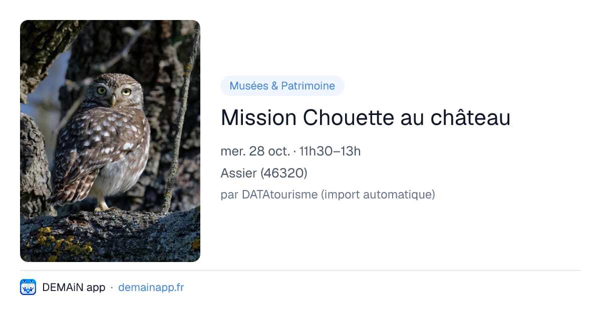 Mission Chouette au château — Assier